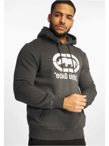 Ecko Unltd. Ecko Unltd. Kapuzenpullover in charcoal