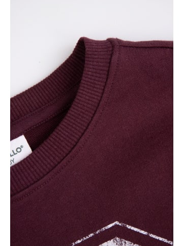 Coccodrillo Sweatshirt in dunkelrot
