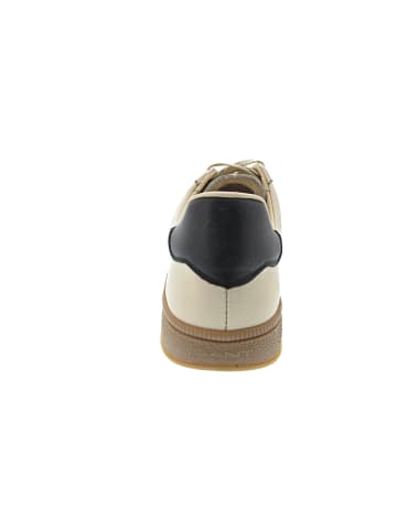Gant Cuzmo Sneaker low Beige