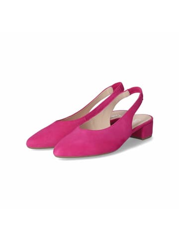 Gabor Slingpumps in Pink