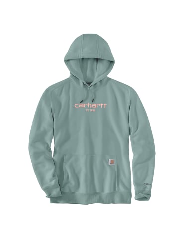 CARHARTT  Logo Kapuzensweatshirt in mint