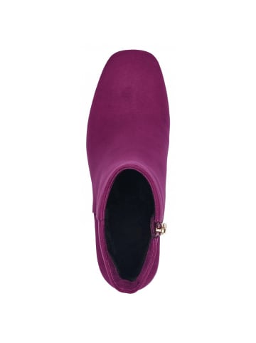 Marco Tozzi Stiefelette  in Violett