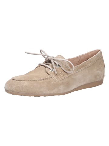 Paul Green Schnürschuh in beige