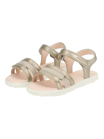 Geox Sandalen in Platinum