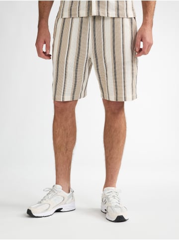 Chino-Shorts Pathfinder in Braun