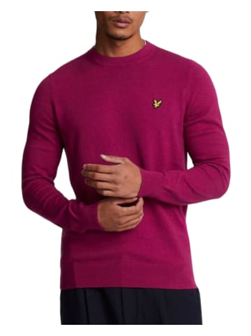 Lyle & Scott Strickpullover in Weinrote
