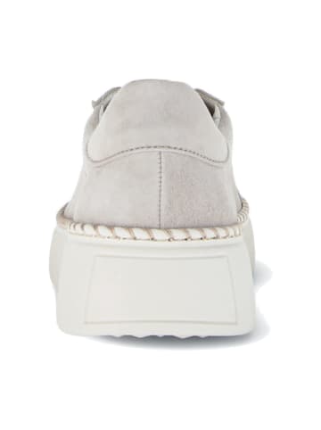 Gabor Sneaker Low in Beige