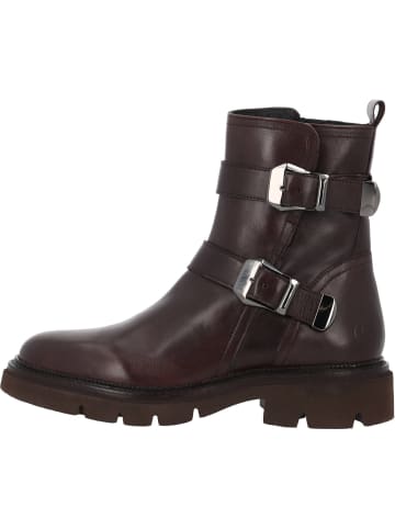 palado Stiefeletten in 337 brown