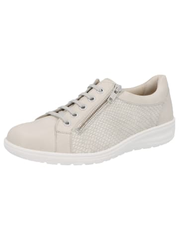 Solidus Sneaker Low in grau