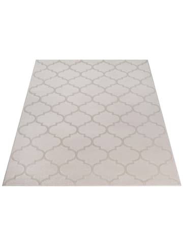 the carpet Moderner Teppich Soft-Touch Flor A in Beige