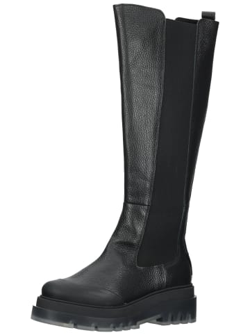 Steve Madden Stiefel in Schwarz