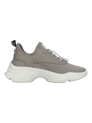 Steve Madden Sneaker in Taupe