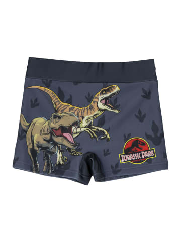 Jurassic World Badehose Jurassic Park in Grau