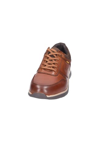 Camel Active Schnürschuh in braun