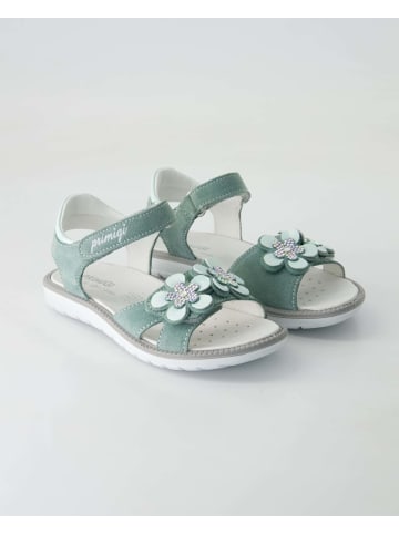 Primigi Klettschuhe in Grün
