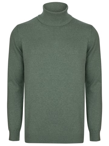 Felix Hardy Pullover in Grün-Braun