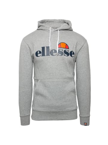 ellesse Kapuzenpullover Small Logo Gottero OH in grau