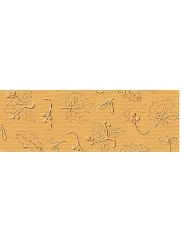 Buntpapierfabrik Ludwig Bähr Prägekarton Elegance 220g/qm 23x32cm Packung mit 5 Blatt natur g...