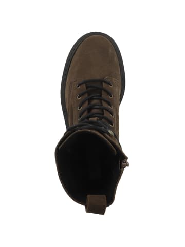 Steve Madden Boots Gusto in dunkelbraun