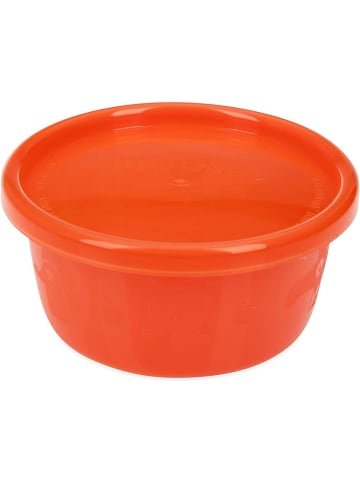 Nuby Picknick Schälchen mit Deckel 240 ml Schale Schüsseln 4-er Pack