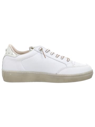Cetti Sneaker Low in weiss