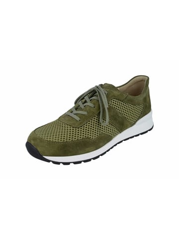 Finn Comfort Sneakers in olive