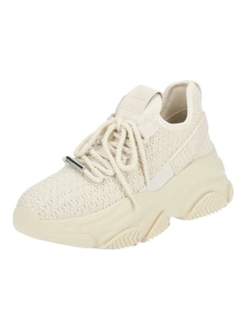 Steve Madden Sneaker in Bone