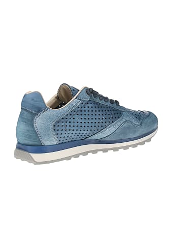 Cetti Sneaker low C-848 V25-26 in Blau