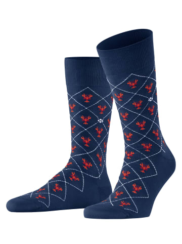 Falke Socken Lobster Herren in Royal blue