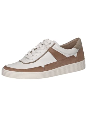 Caprice Sneaker in TAUPE COMB
