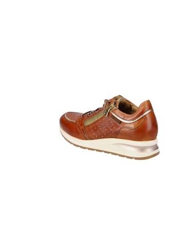 Bugatti Sneaker Bugatti Venice in cognac/gold