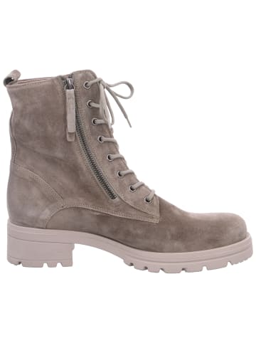 Gabor Comfort Schnürstiefelette  in Grün