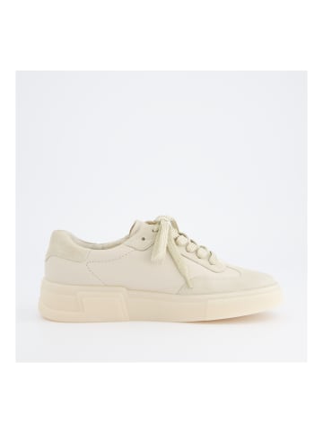 Paul Green Sneaker in Hellbeige
