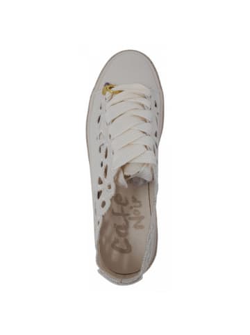 Cafe Noir sportlicher Schnürer  in Weiß