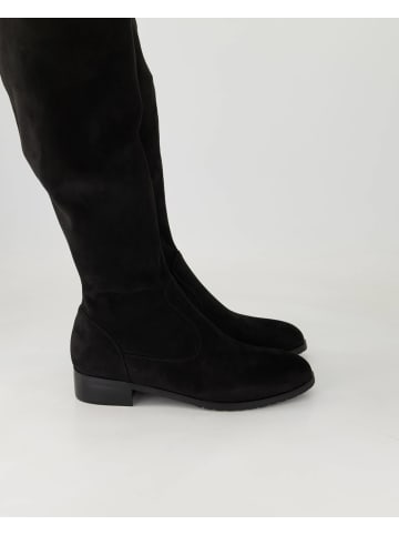 Terry Klassische Stiefel in Schwarz