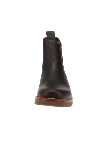 PANAMA JACK Chelsea-Boots Beny Igloo in Braun