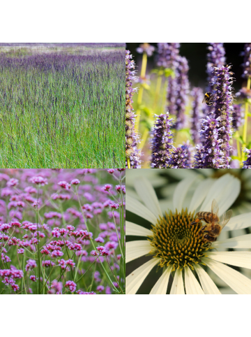 NatureNest 7er: Set Beetpaket Joy Pflanzen in Multicolour 1M2