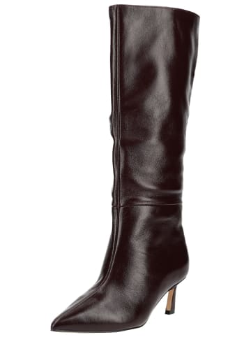 Steve Madden Stiefel LAVAN in Wine