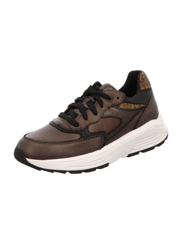 Xsensible Sportliche Schnürschuhe in Braun