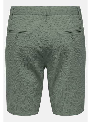 Only&Sons Shorts 'Leo' in dunkelgrau