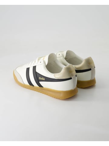 Gola Sportliche Schnürschuhe in Beige