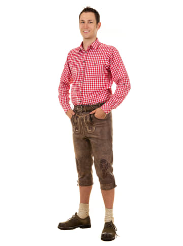Edelnice Trachtenlederhose Kniebundhose Thomas in braun