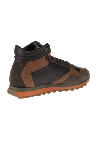 Cetti Sneaker high C-1048 in Braun