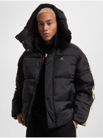 CALVIN KLEIN JEANS Puffer Jacket in black