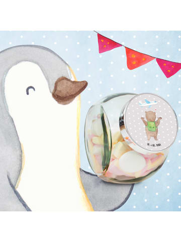 Mr. & Mrs. Panda Teedose Bär Flugzeug ohne Spruch in Grau Pastell