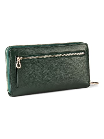 Esquire Alexandria Geldbörse RFID Schutz Leder 19 cm grün