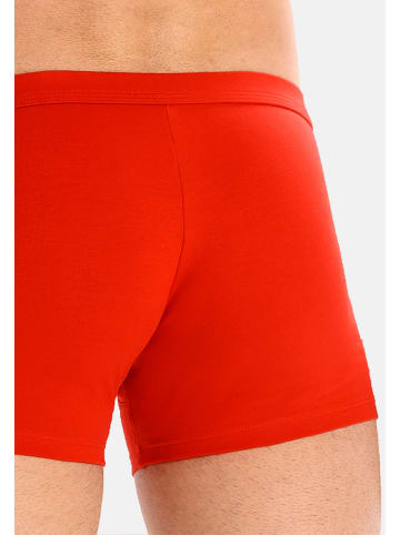 Teyli 3er Pack: Boxershorts aus Baumwolle für Männer Levi in rot