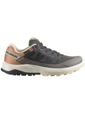 SALOMON Wanderschuhe SHOES OUTRISE GTX in Grau