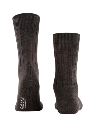 Falke Socken Teppich im Schuh in Dark brown