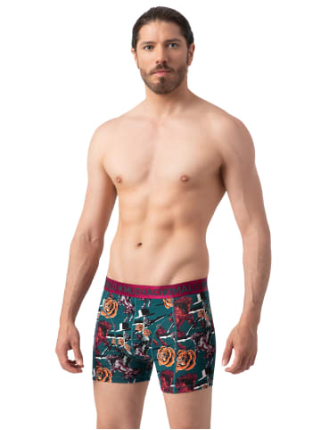 Muchachomalo 3er-Set: Boxershorts in Multicolor